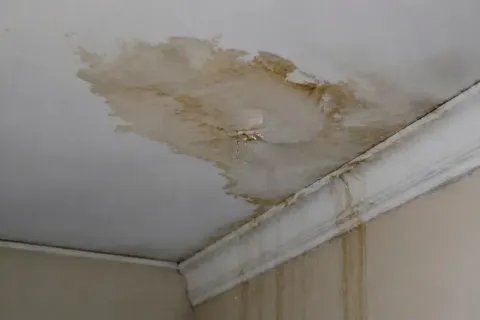 Ceiling water damage — urgent inspection scenario